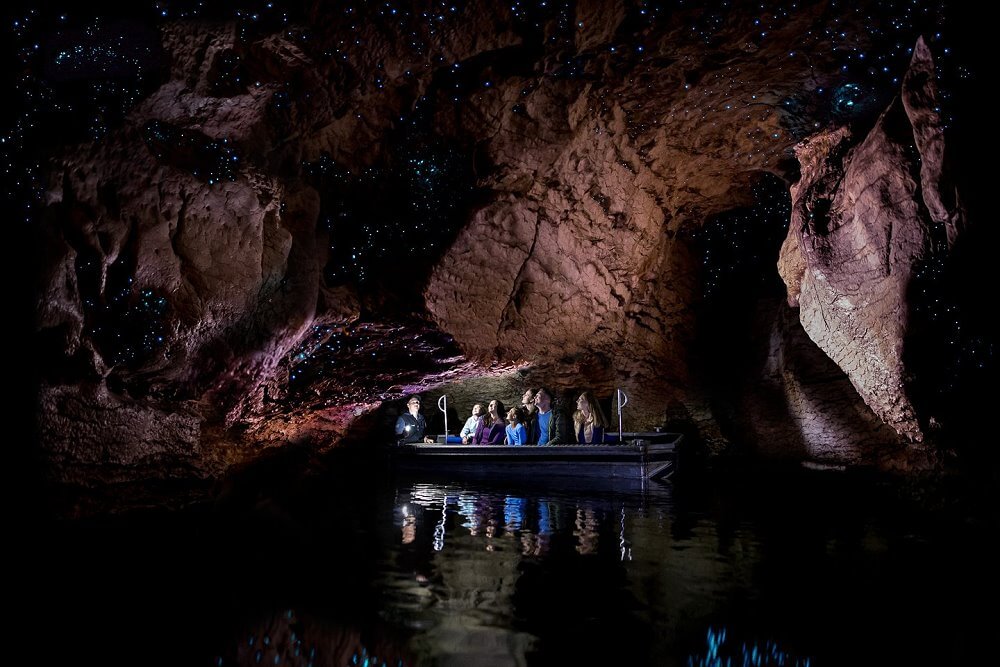 Te Anau Glowworm Caves,蒂阿瑙螢火蟲洞,紐西蘭螢火蟲洞,紐西蘭洞穴探險,蒂阿瑙景點,Te Anau景點推薦,紐西蘭南島景點,紐西蘭自然景點,紐西蘭親子景點,紐西蘭自由行推薦,南島自由行行程,Te Anau自由行,蒂阿瑙行程安排,紐西蘭必訪景點,RealNZ螢火蟲洞,蒂阿瑙船票,螢火蟲洞預約,紐西蘭夜間活動,紐西蘭旅遊推薦,紐西蘭浪漫行程